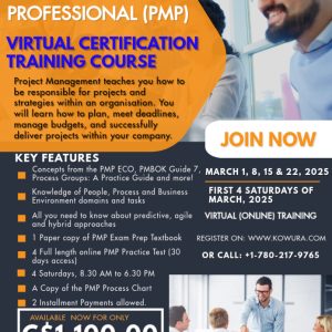 PMP Virtual Training in March 2025